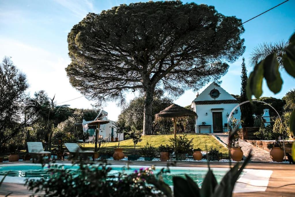 Vila Soul Casas Vejer de la Frontera Exteriér fotografie