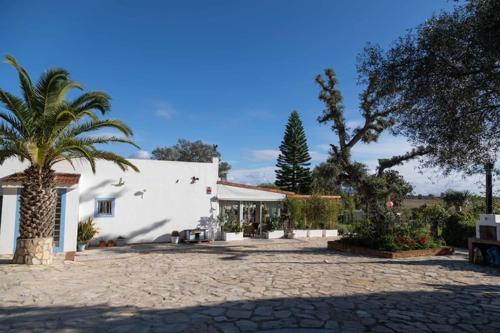 Vila Soul Casas Vejer de la Frontera Exteriér fotografie